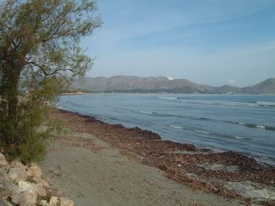 Mca005.JPG